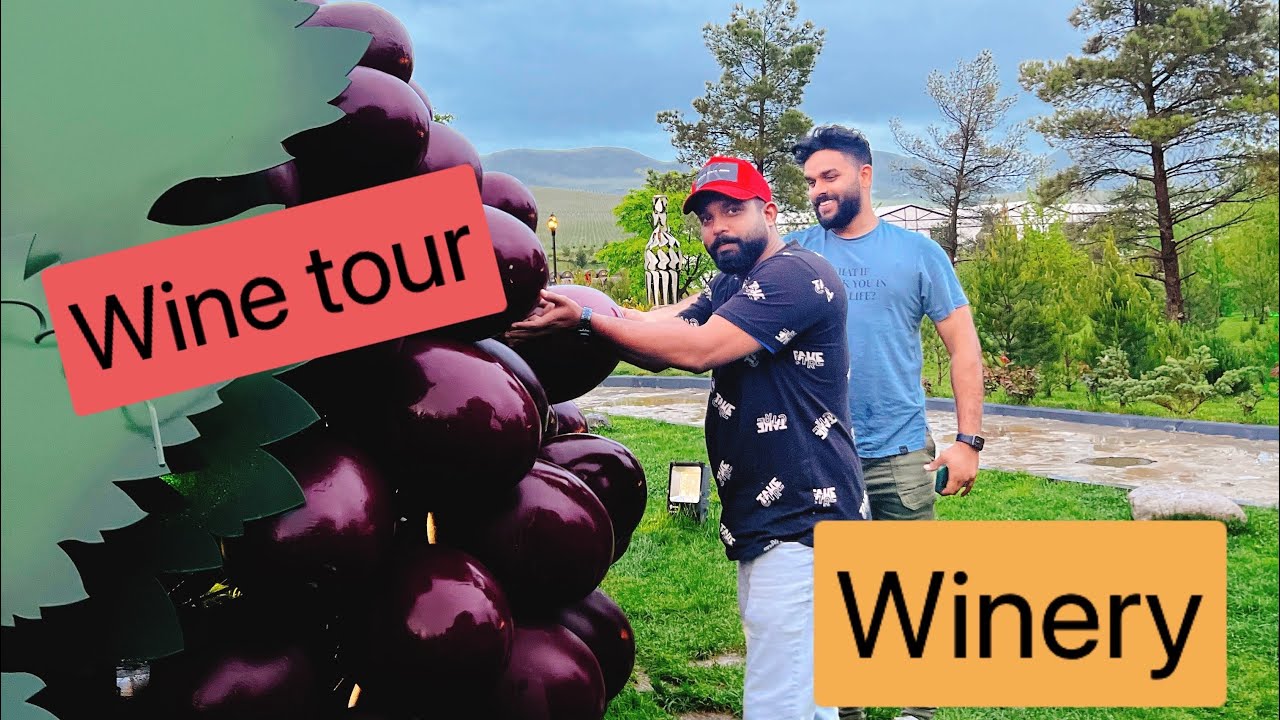 Wine tour Shirvan#Shamakhi wine tour#winery