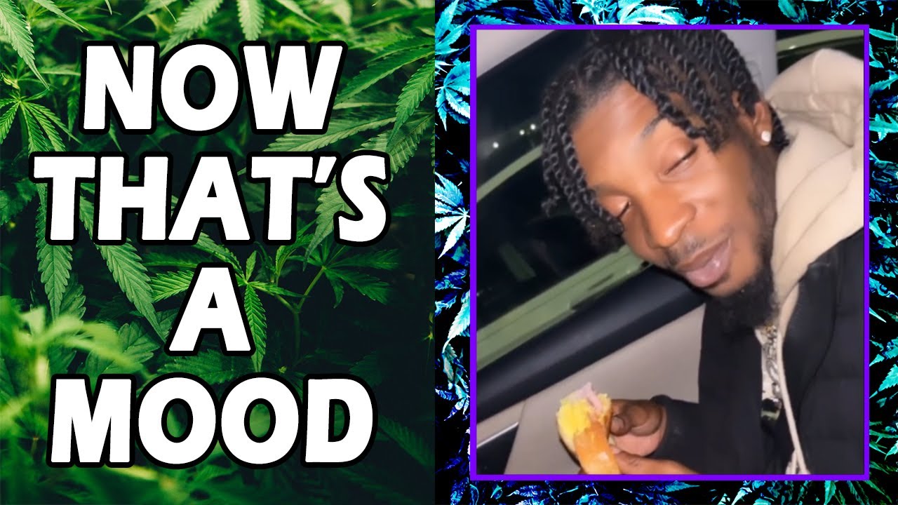 WEED MEMES & Fail Compilation [#181] - Fatally Stoned