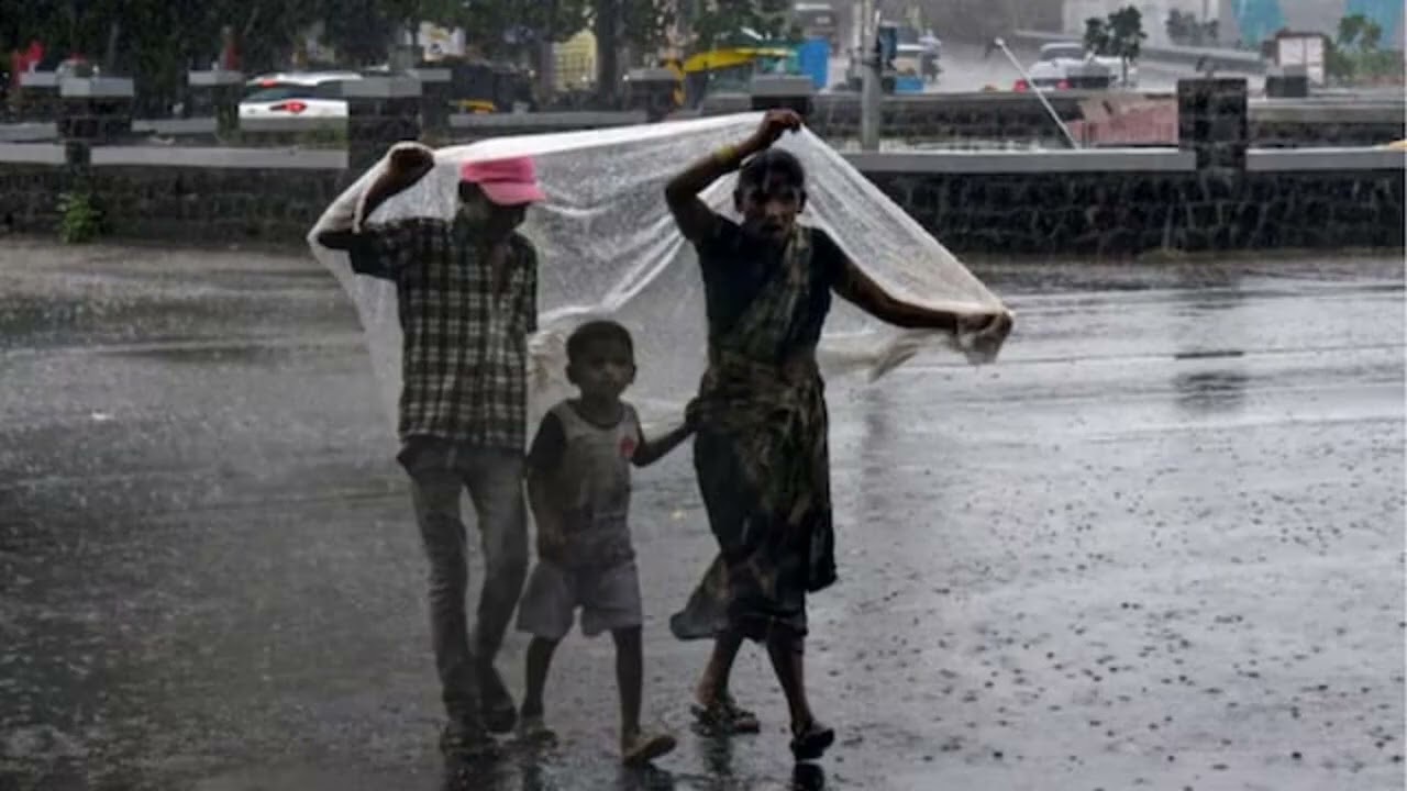 Karnataka Weather IMD Warns Of Widespread Rain Yellow Alert For Bengaluru  Check Forecast