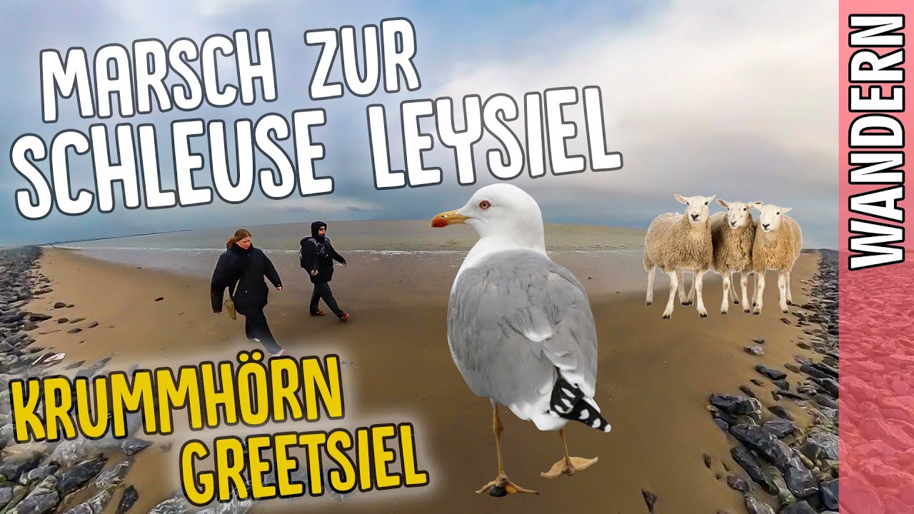 Schleuse Leysiel | Greetsiel Krummhörn | Wandern in der Leyhörn | Nordsee Ostfriesland