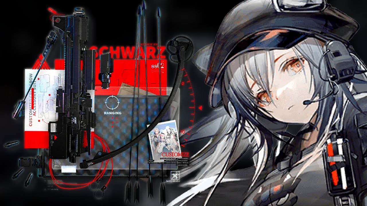 Schwarz MODULE ABUSE