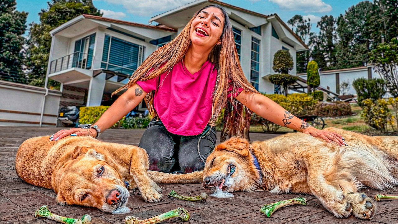 ¡MIS MASCOTAS SON ENVENENADAS! y ESTAN MUY MAL 😭