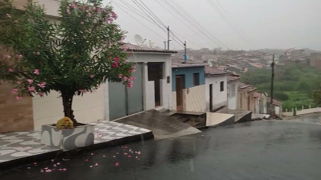 Chuva em arara Paraíba 06/02/26