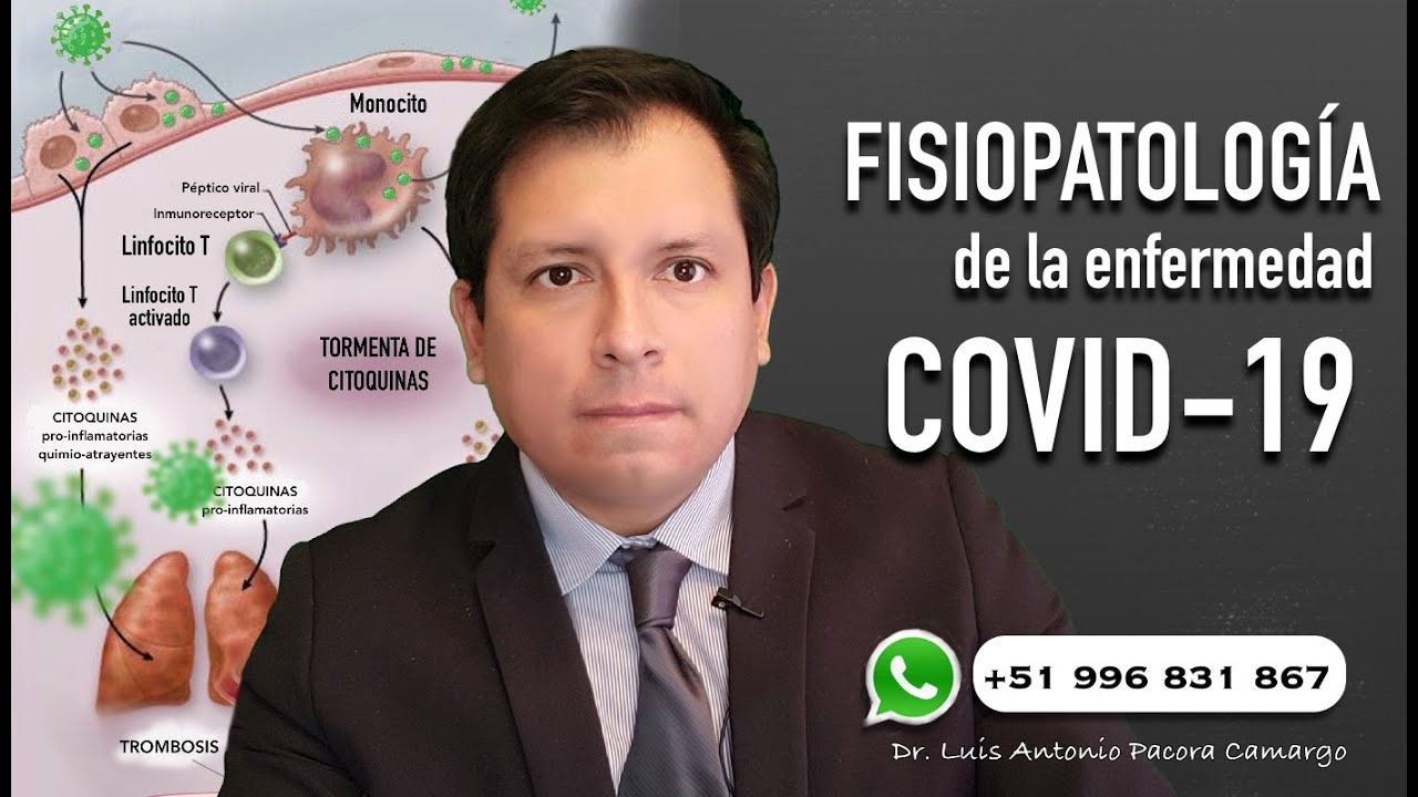 FISIOPATOLOGÍA DE LA ENFERMEDAD COVID-19, ENTENDIENDO LA ENFERMEDAD