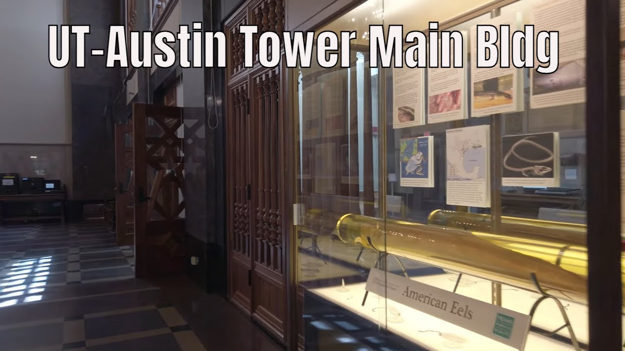 Walking around UT Austin Tower Main Building, April 7, 2022