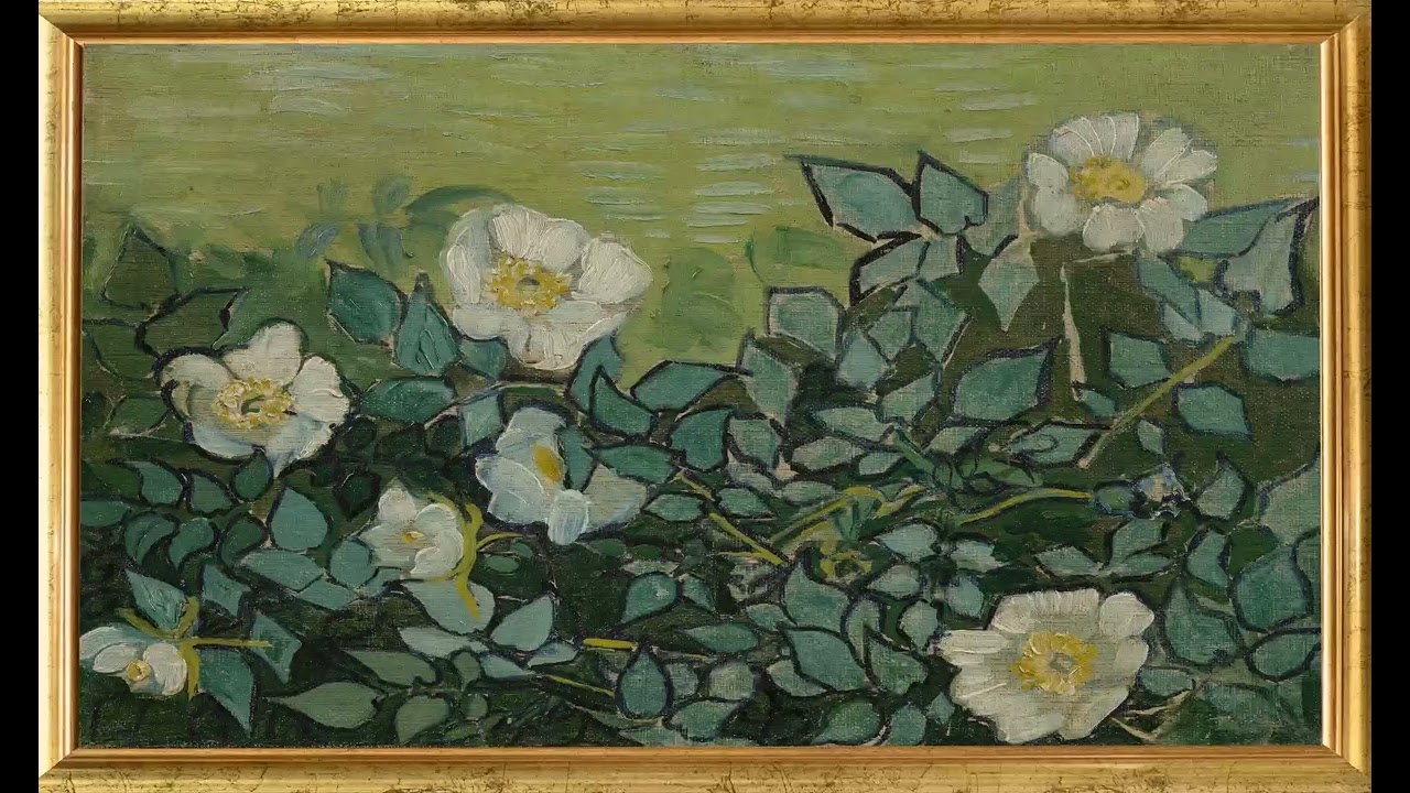 Vincent van Gogh – White Roses | 2 Hours in 4K (No Sound)   --EcoArtLab • Frame TV & Printable Art