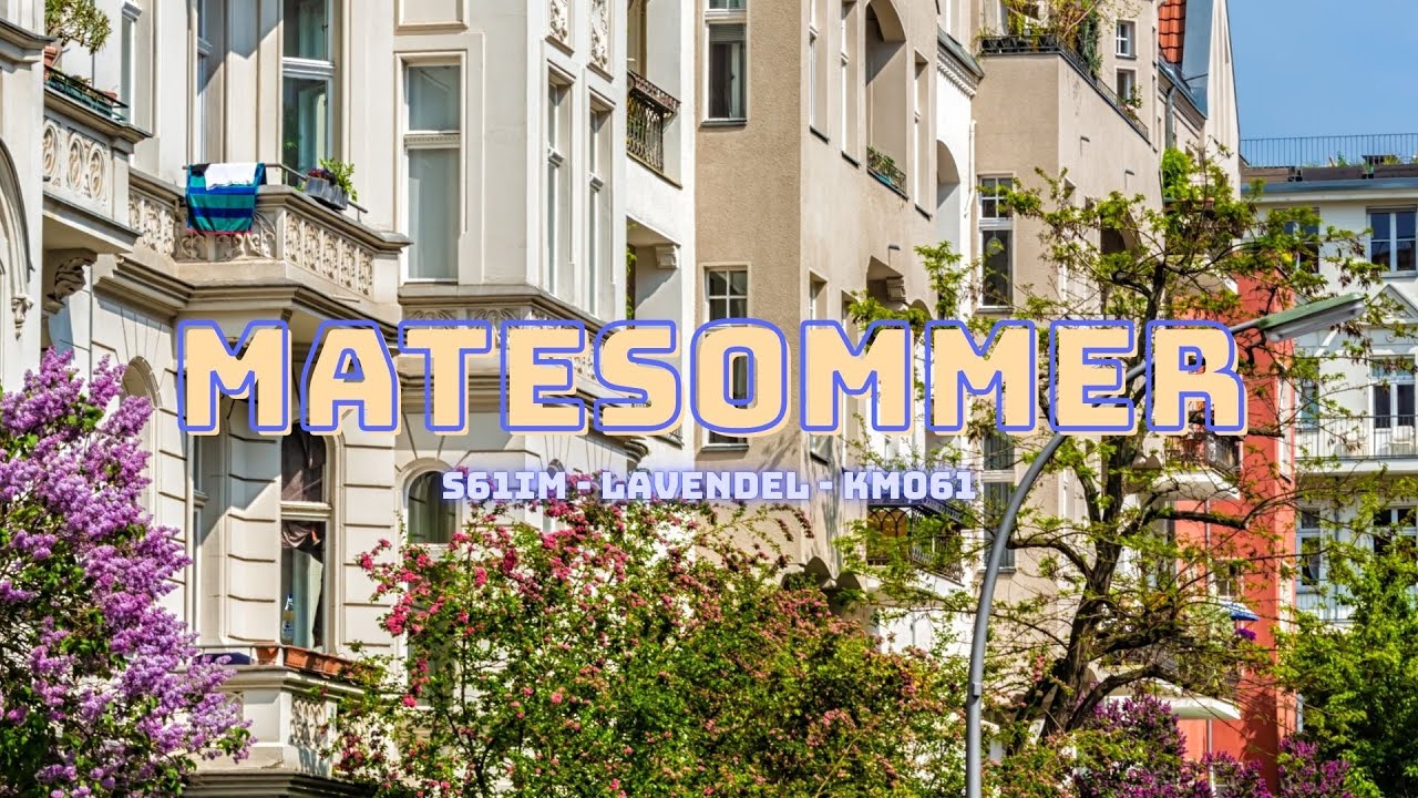 MATESOMMER feat. KMO61, S61im