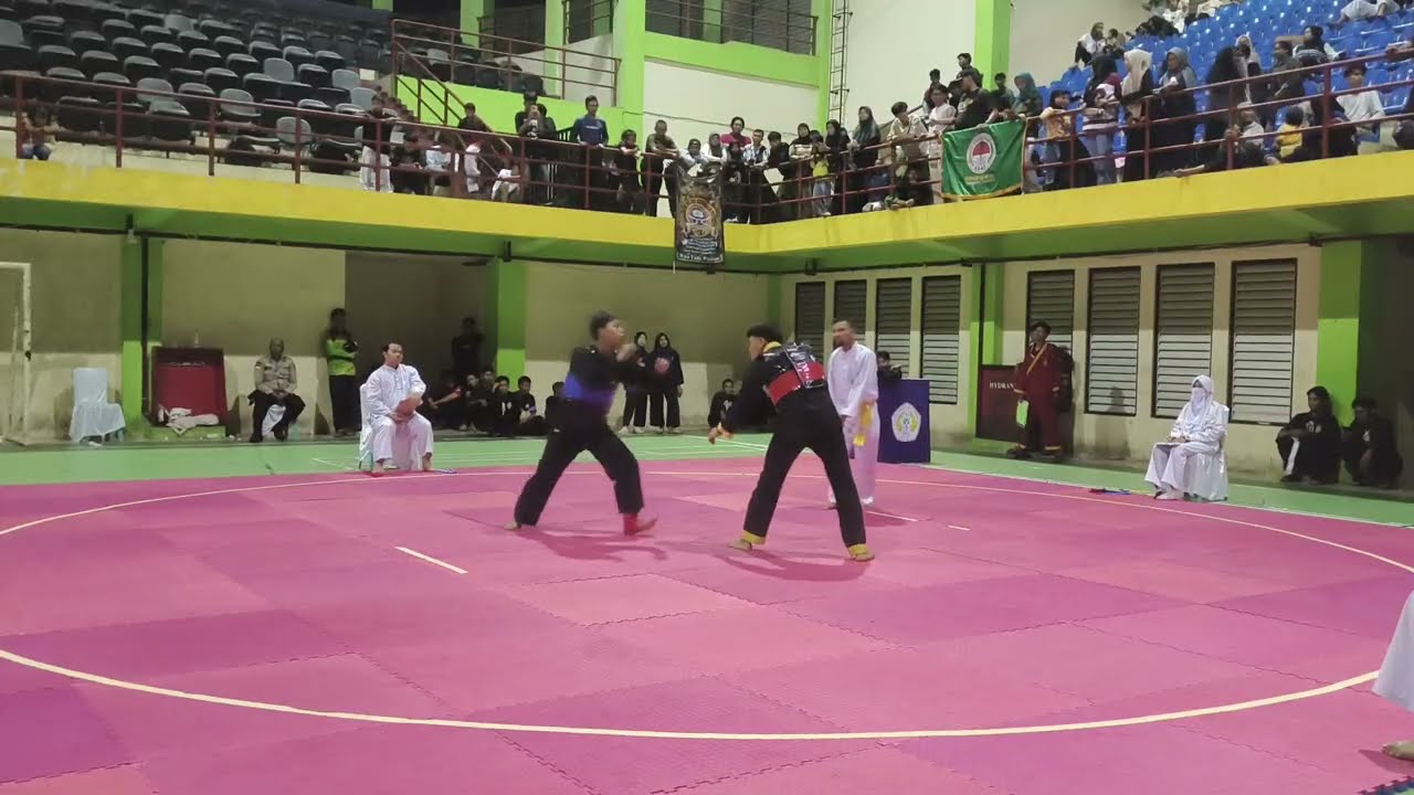 Ipsi karimun cup 2, D dewasa himssi vs tapak suci