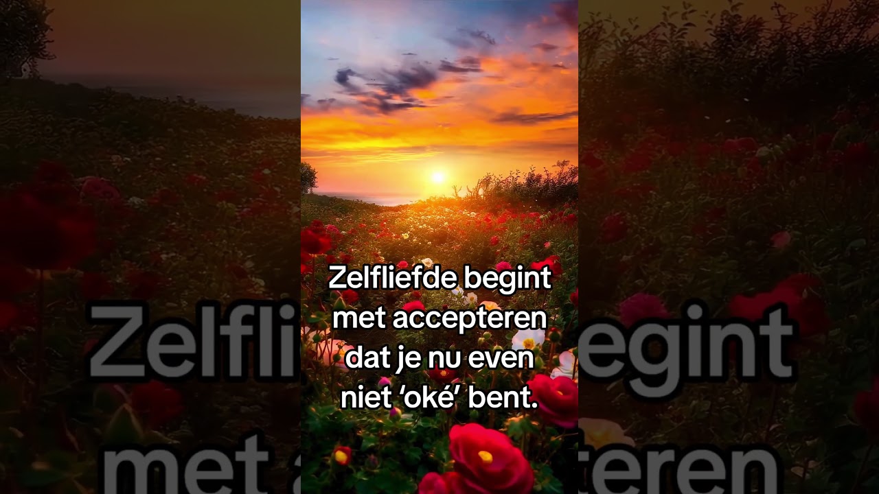 Je hoeft niet te &lsquo;fixen&rsquo; wat je voelt.