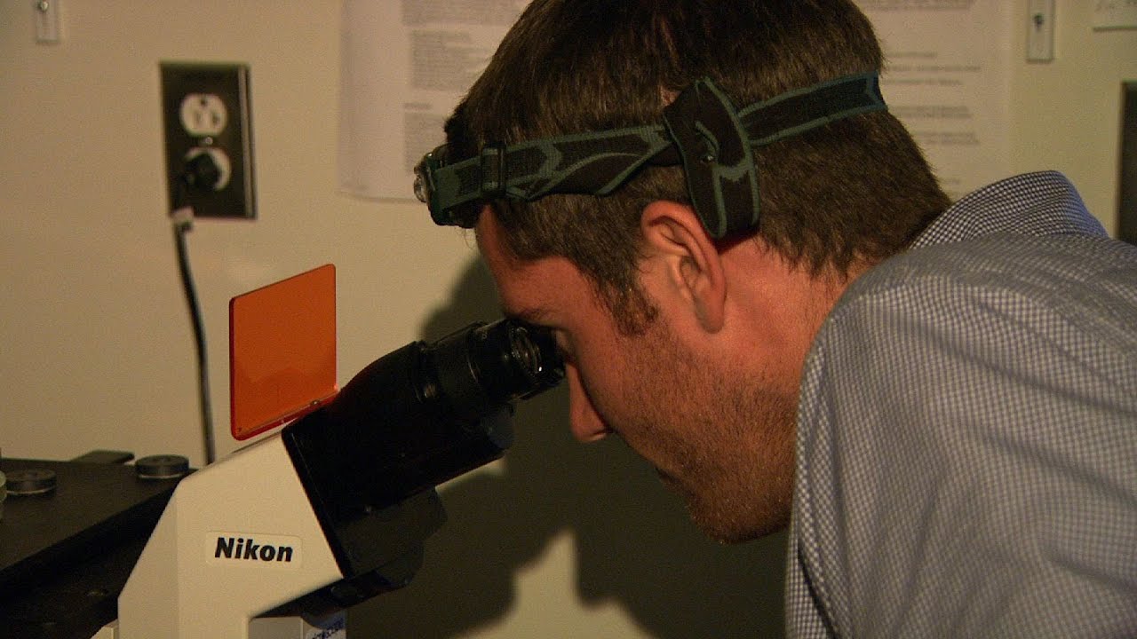 Can Self Healing Muscles help patients with serious injuries? | Sci NC