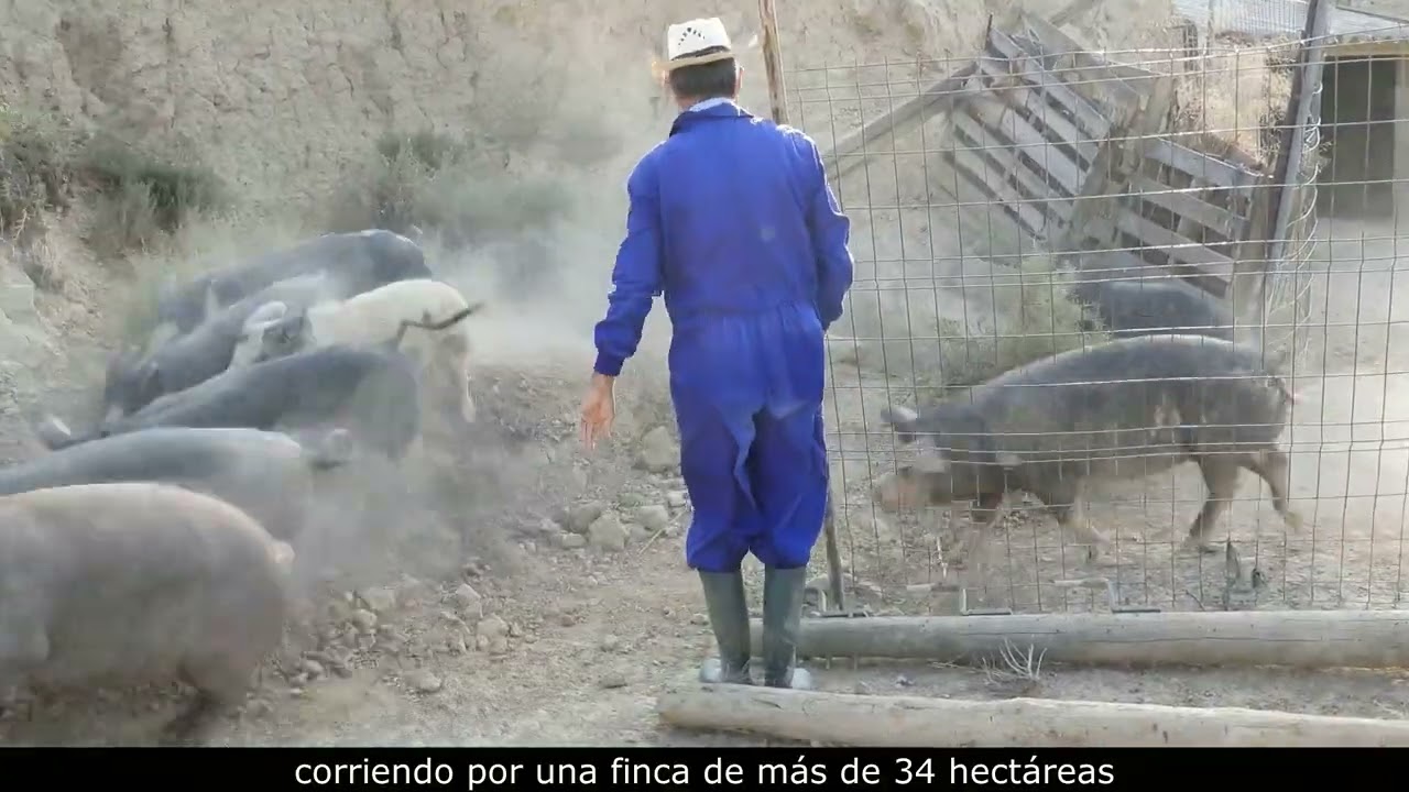 EXPLOTACIÓN GANADERA 
