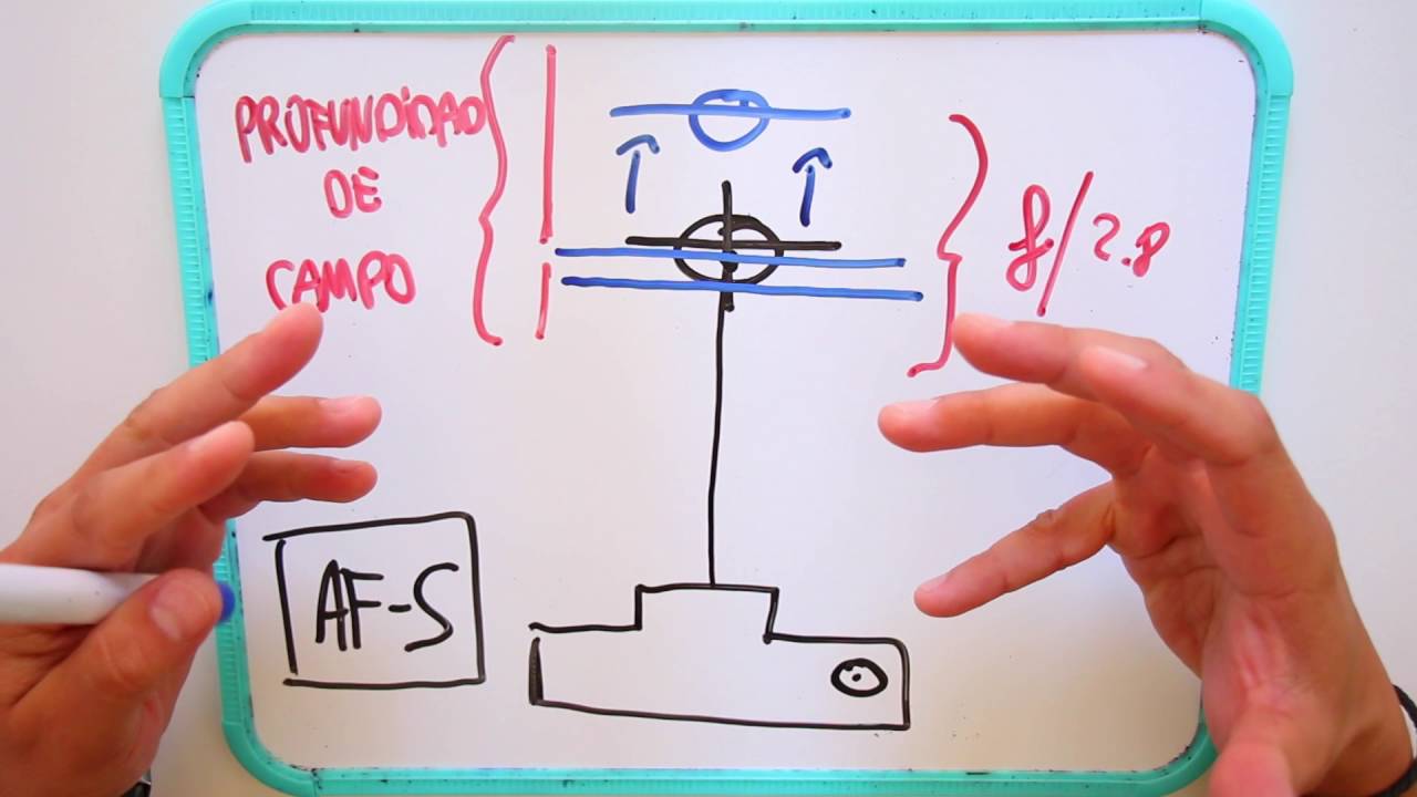 Enfoque único vs. continuo AF-S/AF-C