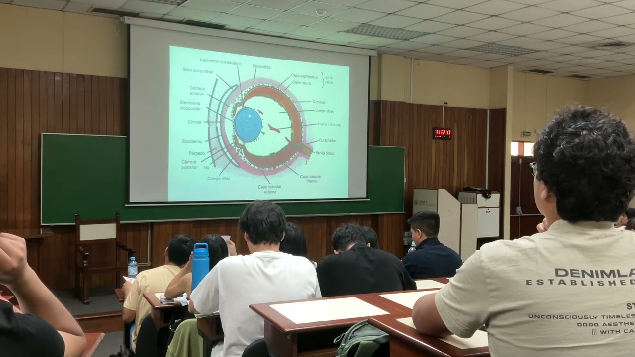 Clase Embriología - Órganos de los sentidos