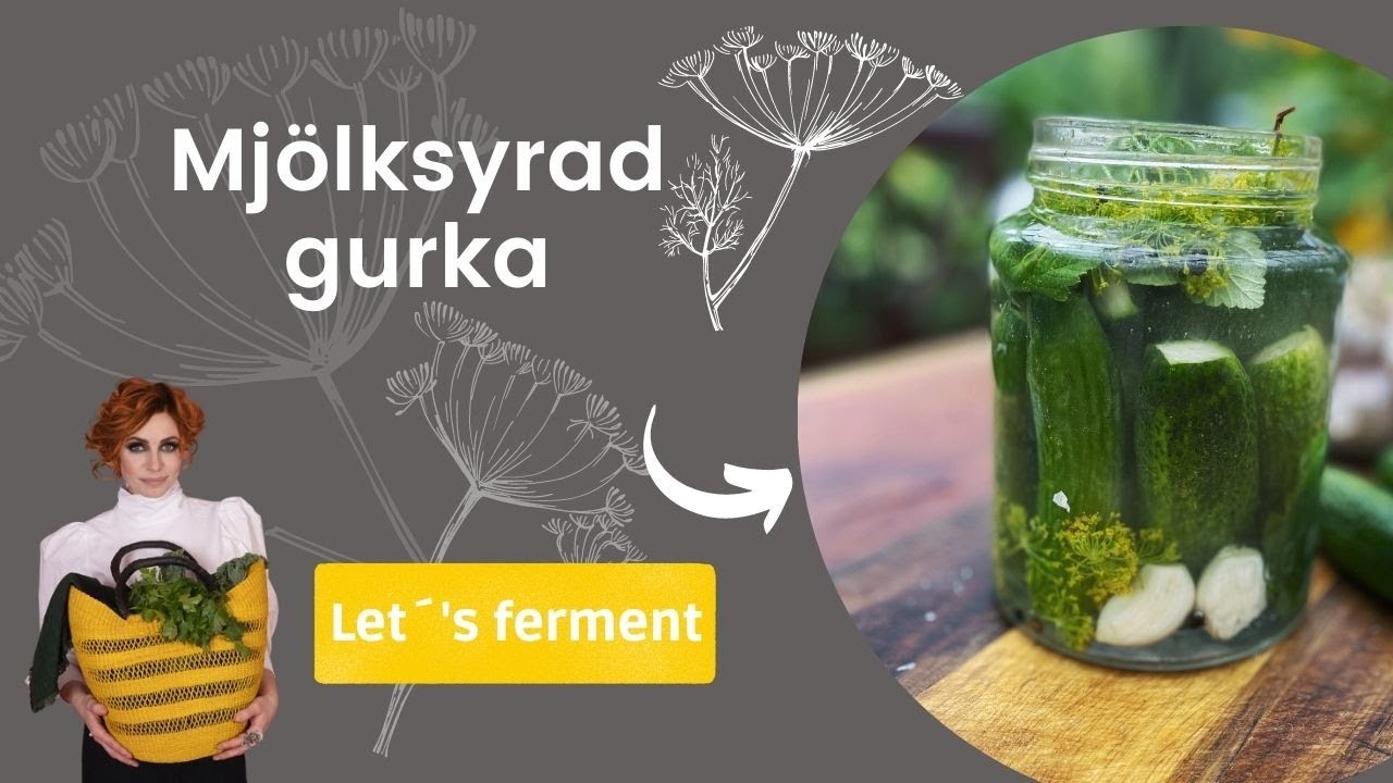 Mjölksyrad gurka