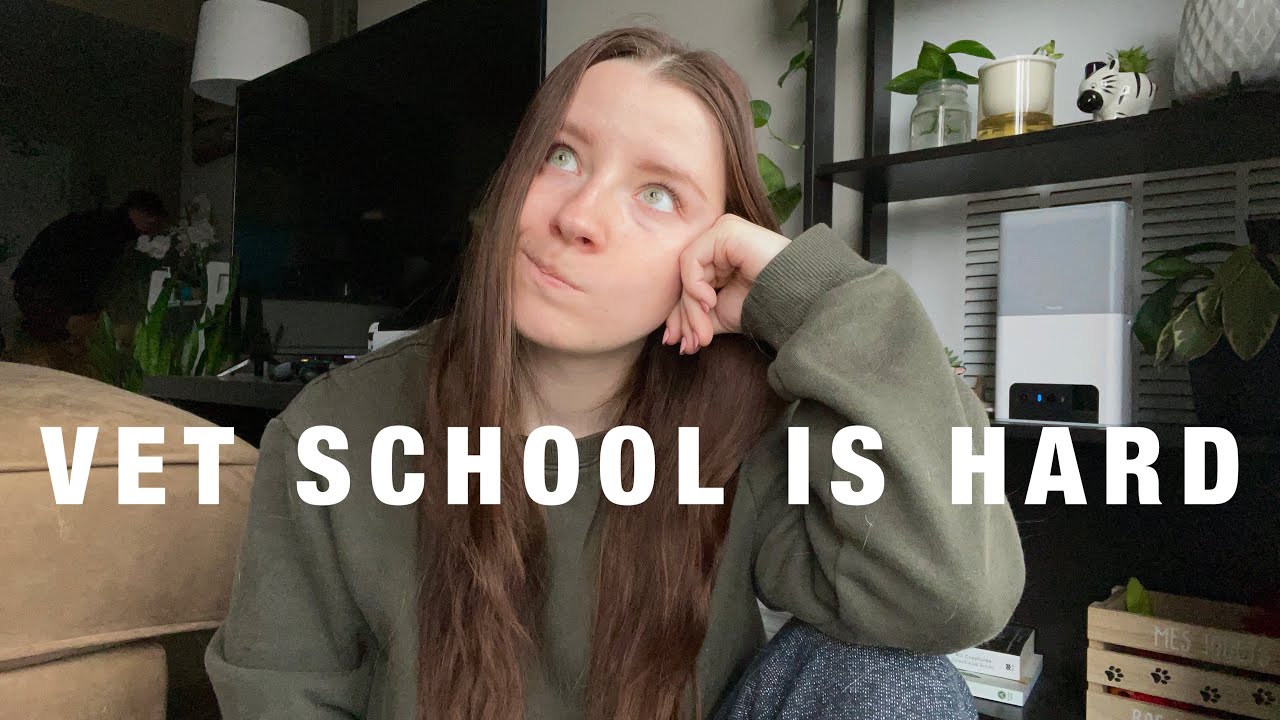 an honest update.