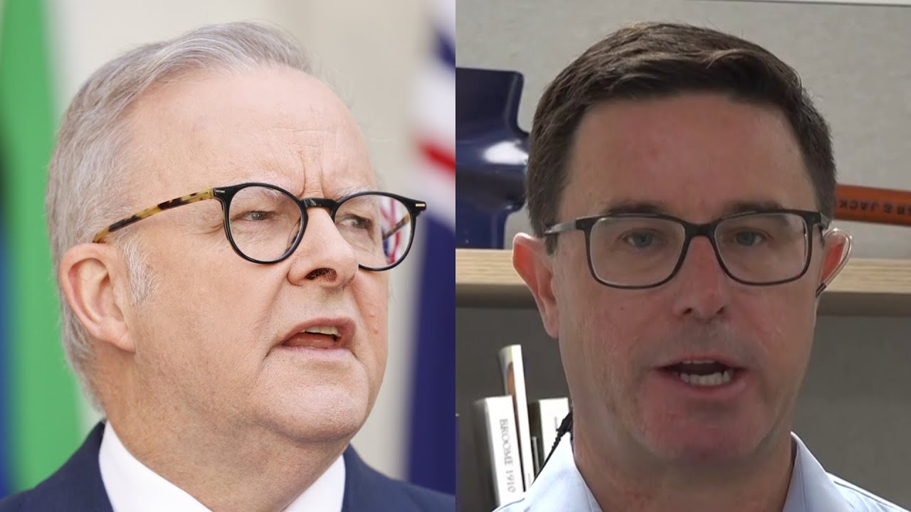 ‘Guns are not the problem’: Albanese blasted for ‘cheap political stunts’