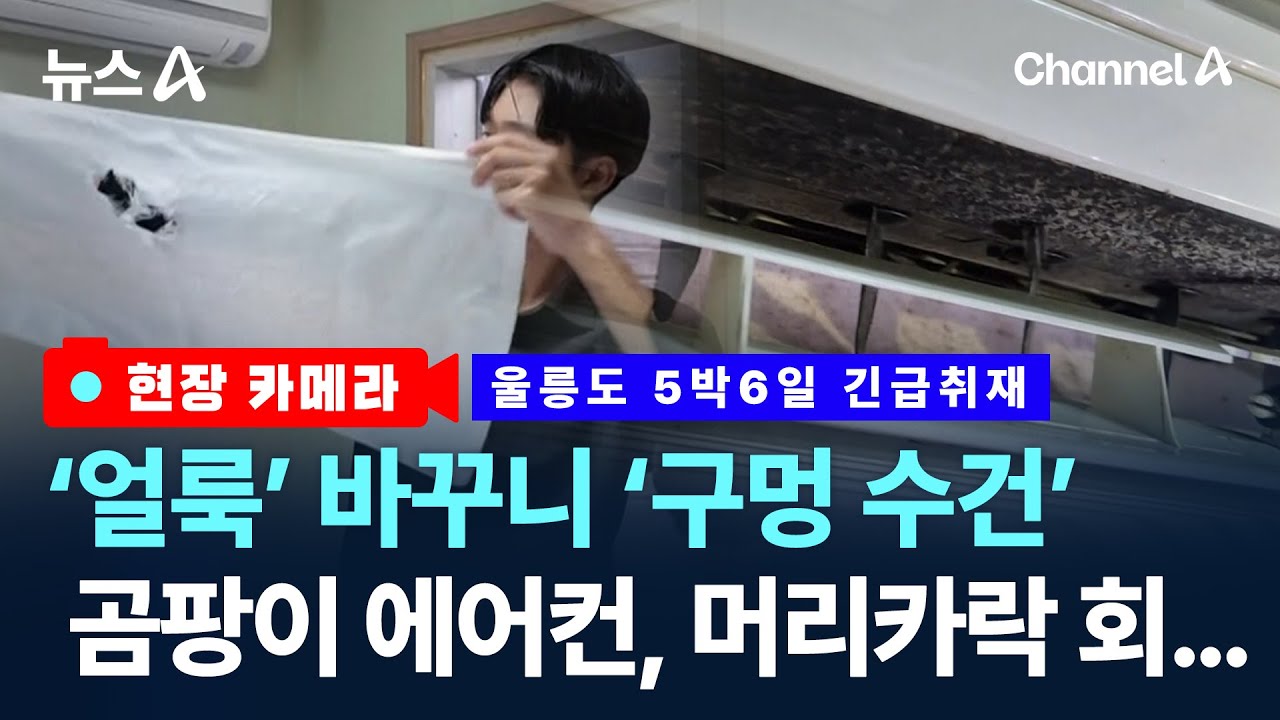 [현장 카메라]수건에 구멍·회에 머리카락…울릉도 가보니 / 채널A / 뉴스A