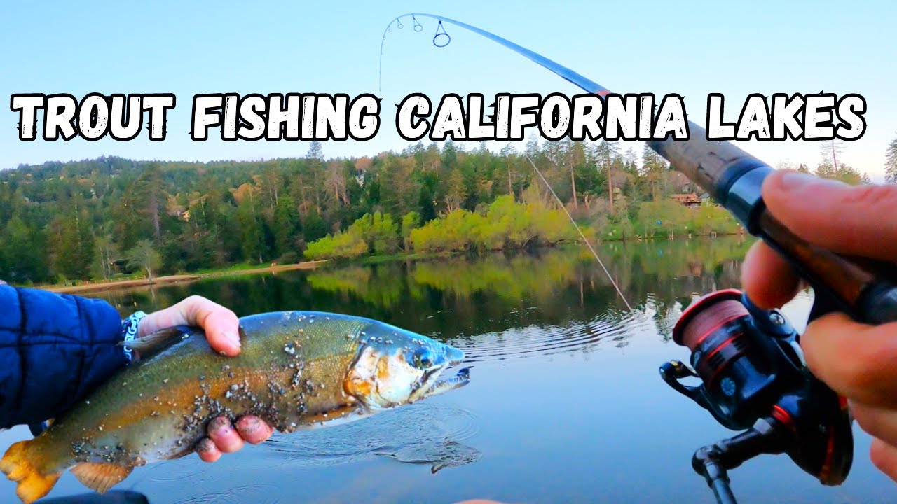 Fishing for HUNGRY Trout in California Lakes