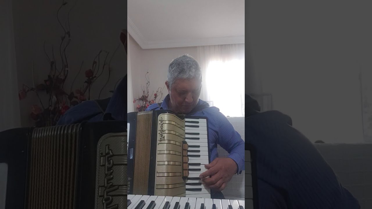 Ah Bu Hayat Çekilmez (sevdan olmasa) (cover acordeon ile Teoman Apan)