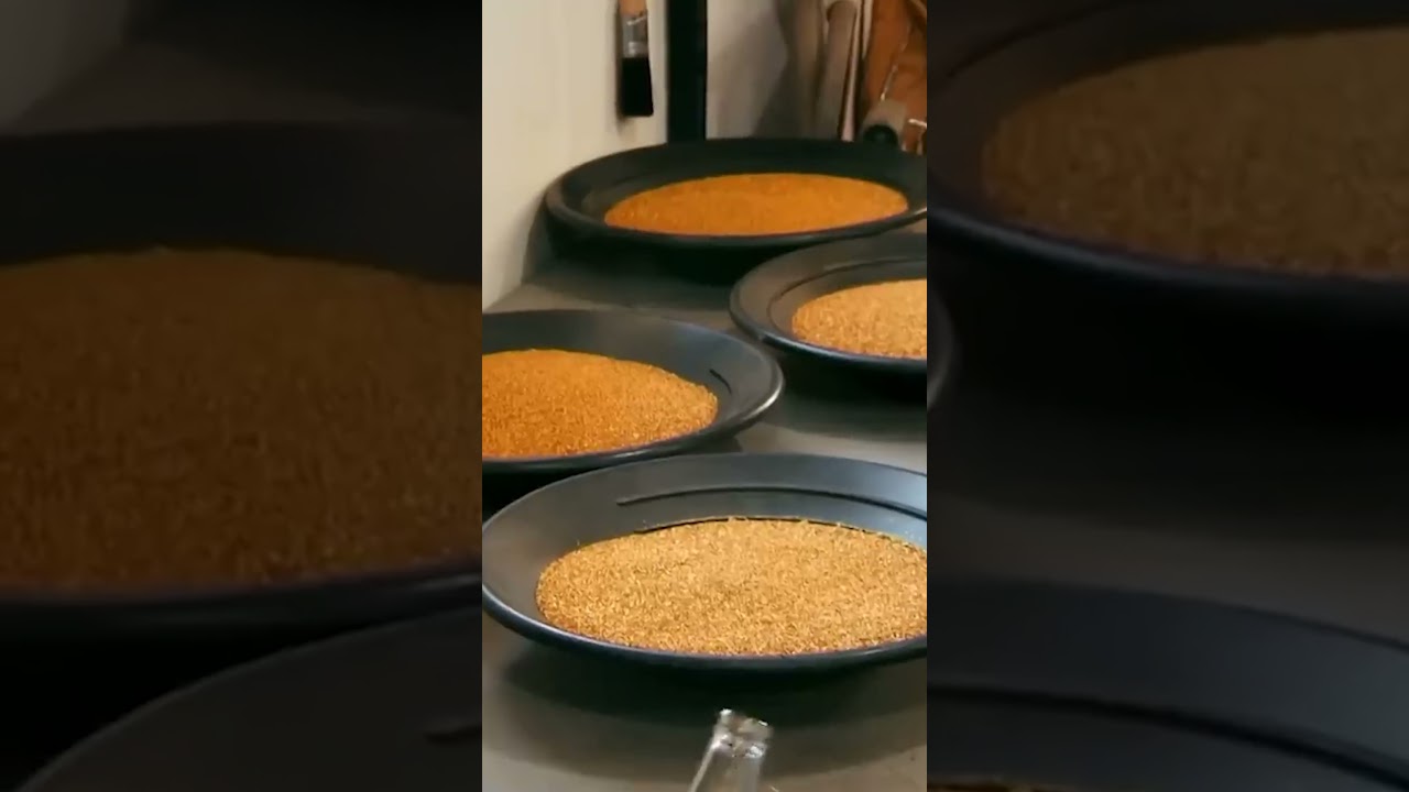 Parker Schnabel's Record-Breaking Gold Haul! #goldrush #shorts