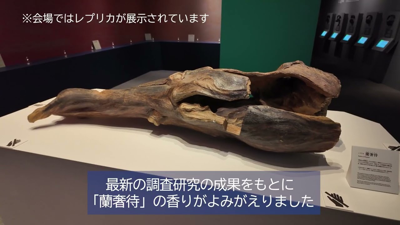 蘭奢待だけじゃない！大阪歴史博物館の「正倉院  THE  SHOW」を大学生が体験