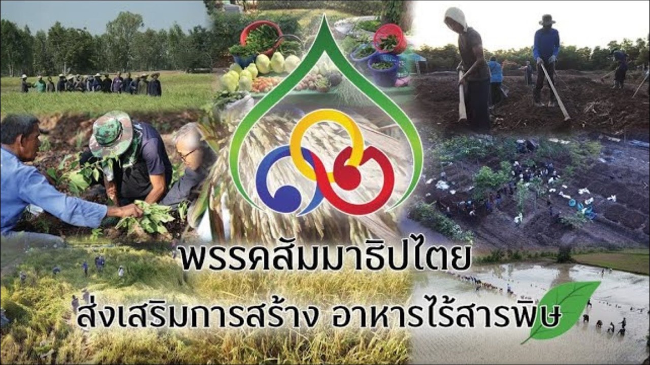 681114 MV นโยบายพรรค สัมมาธิปไตย ข้อที่ 1 ส่งเสริมการสร้าง อาหารไร้สารพิษ เพลง ทุนบ่สูง ภูมิบ่ต่ำ