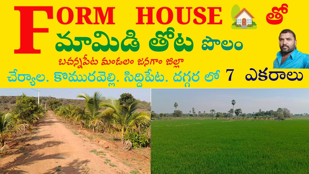 ఒకGUEST HOUSతో మామిడి తోట//తరి పొలం//2 బోర్లు 7 acres//per acre 45 lakhs#sjrealestatejanagaon