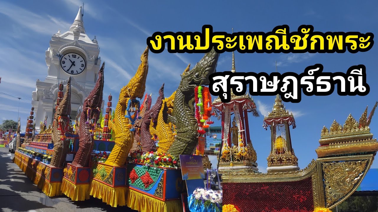 งานประเพณีชักพระ จังหวัดสุราษฎร์ธานี
