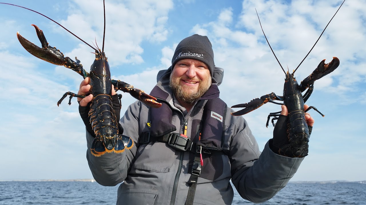 Följer med på fiske efter hummer!