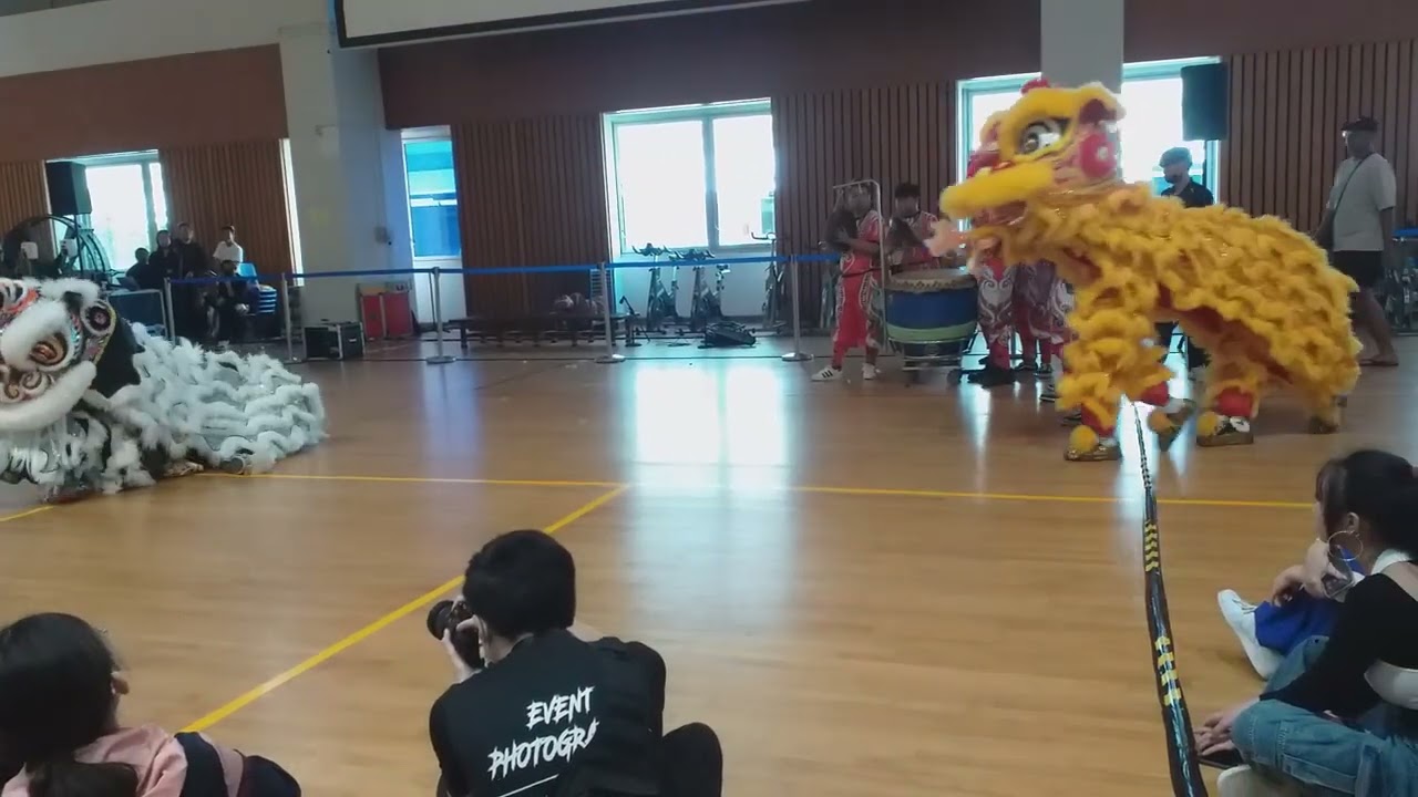 ite ce cca fair, lion dance performance