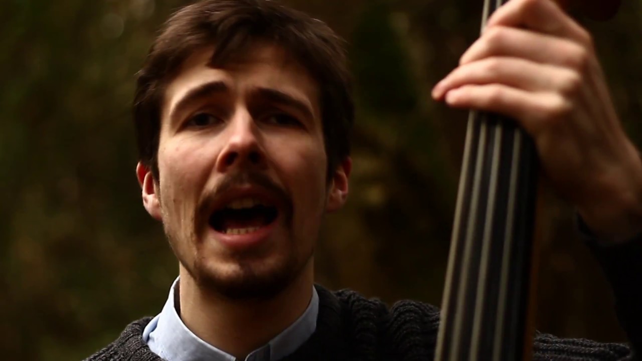 Bluebirds // Cup O'Joe