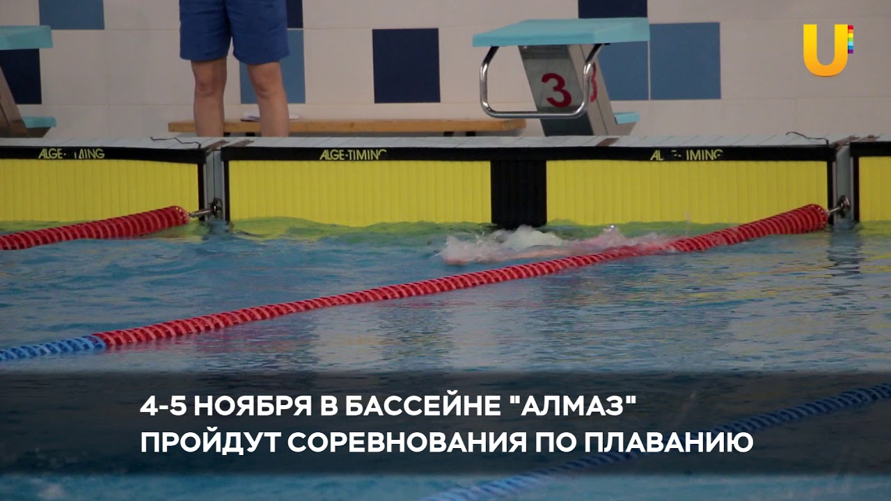 Новости UTV. В бассейне 