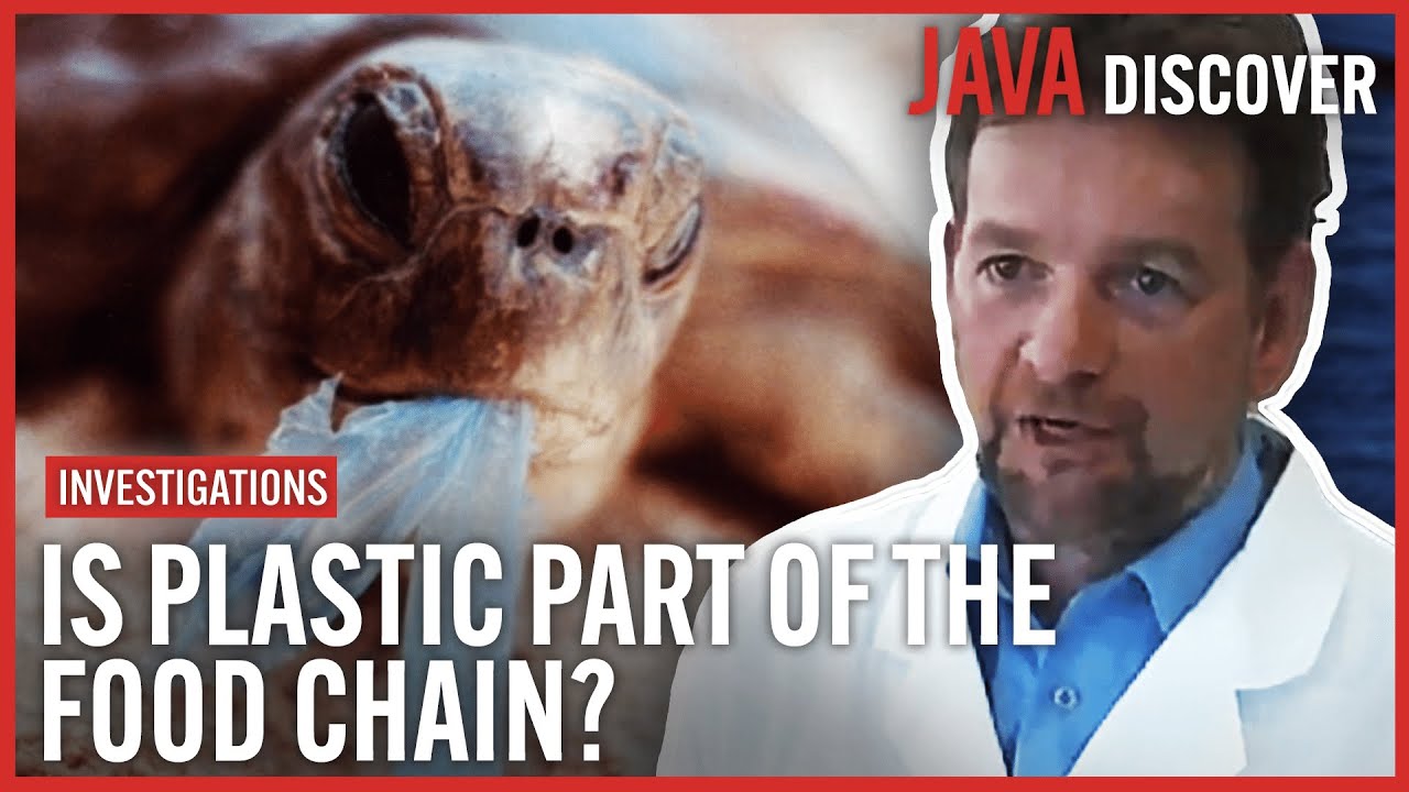 Ocean Trash: The Plastic Soup in our Seas | Investigative Documentary