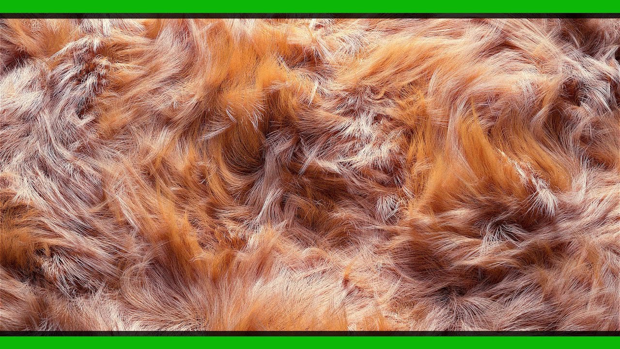 Houdini Tutorial | Hair / Fur Grooming Effect