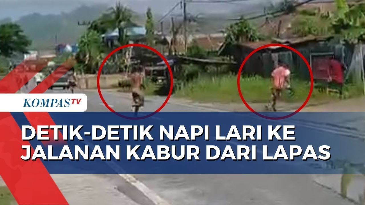 Detik Detik Para Napi Lapas Kelas IIB Sorong Kabur, Lari Berhamburan ke Jalan