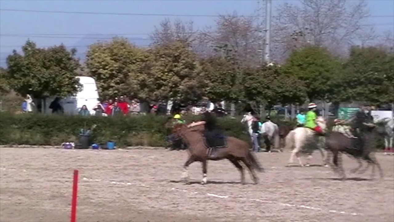 mounted games 2017 dell'alba