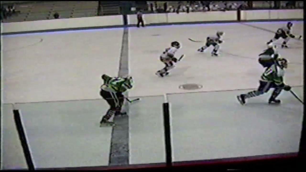 Sedmha 1993