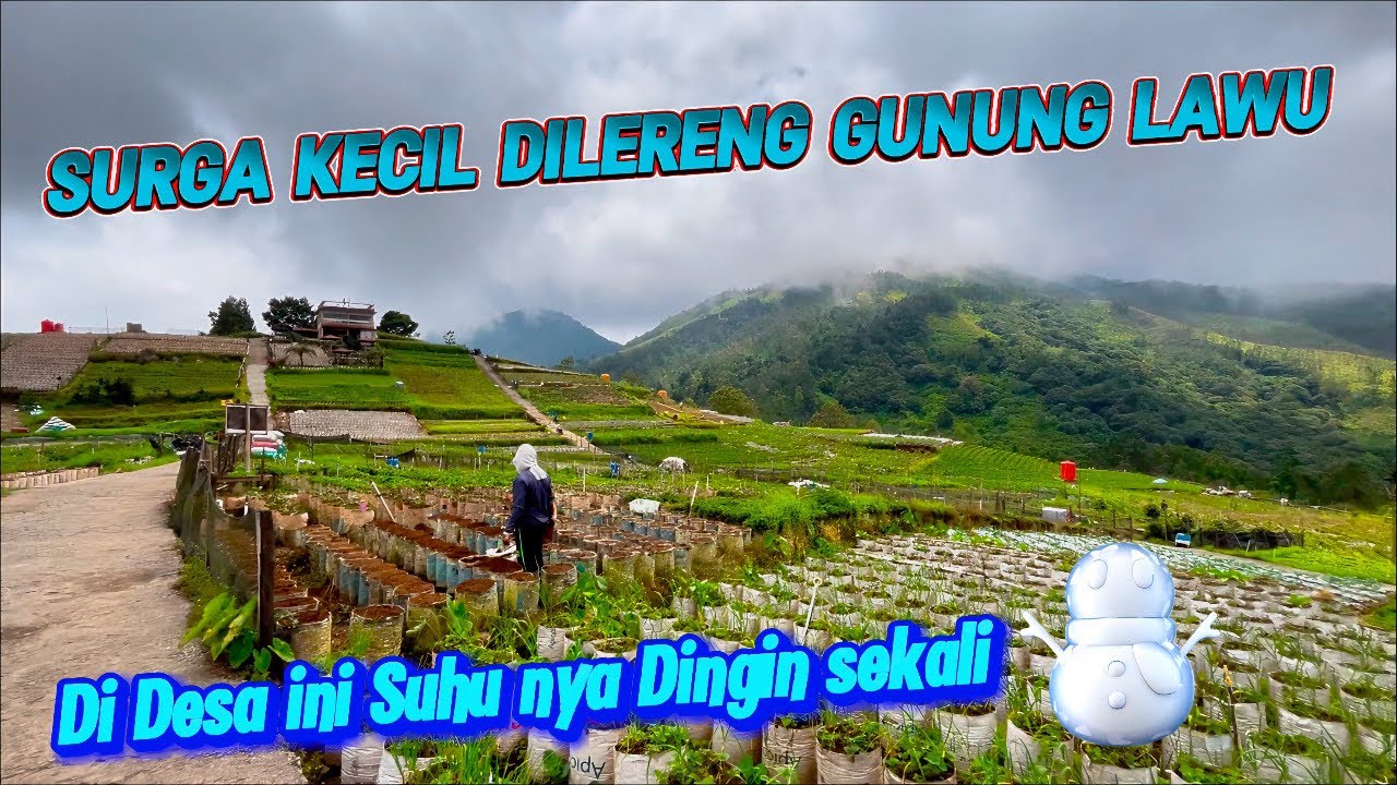 DESA TERNYAMAN DI LERENG GUNUNG LAWU‼️