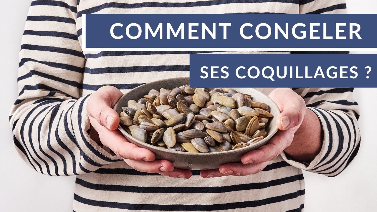 Comment congeler ses coquillages ?