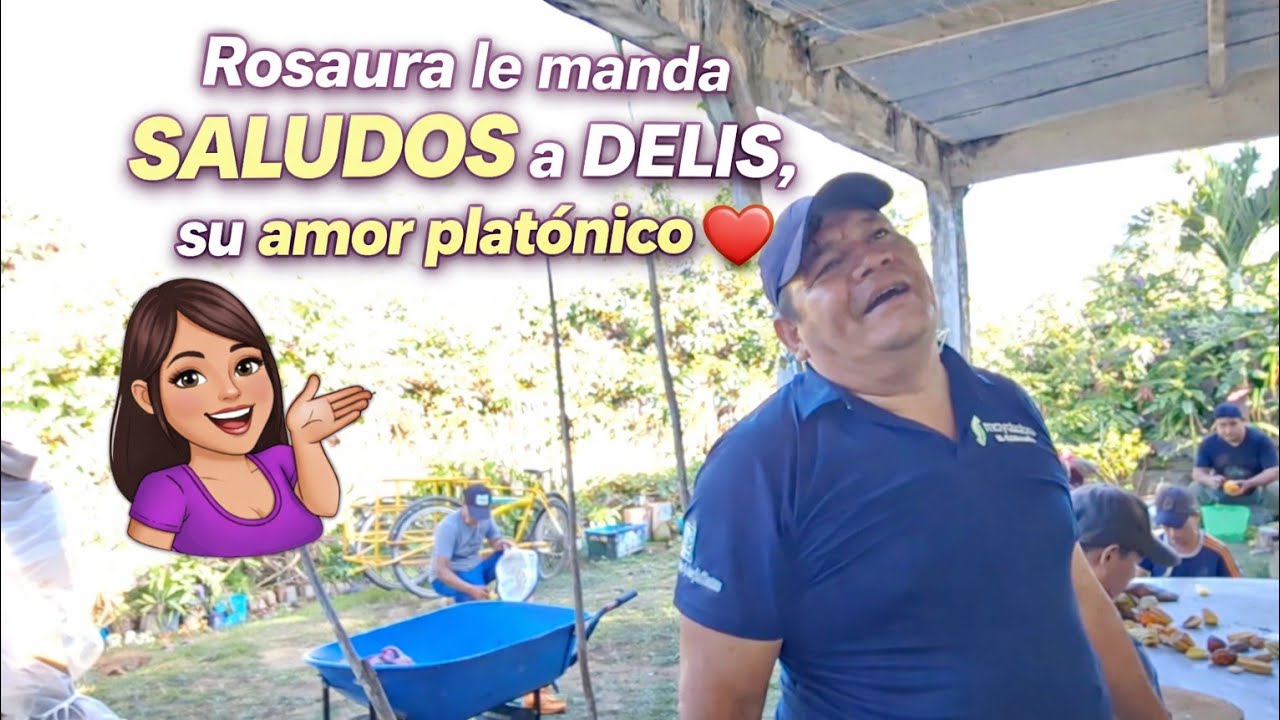 Sembrando vida / fermentación de cacao 