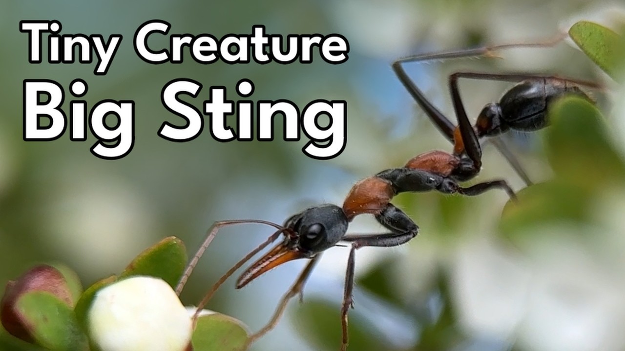 Tiny Creatures That Terrify Me
