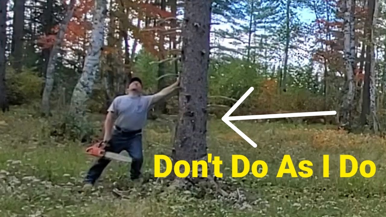 Absent Abilities