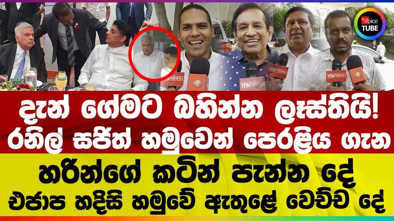 දැන් ගේමට බහින්න ලෑස්තියි! | රනිල් සජිත් හමුවෙන් පෙරළිය ගැන හරින්ගේ කටින් පැන්න දේ