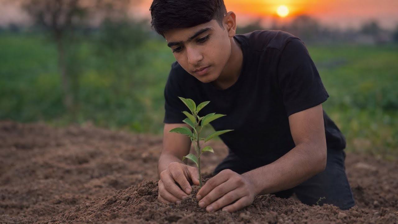 👉 Planting Trees Today 🌱