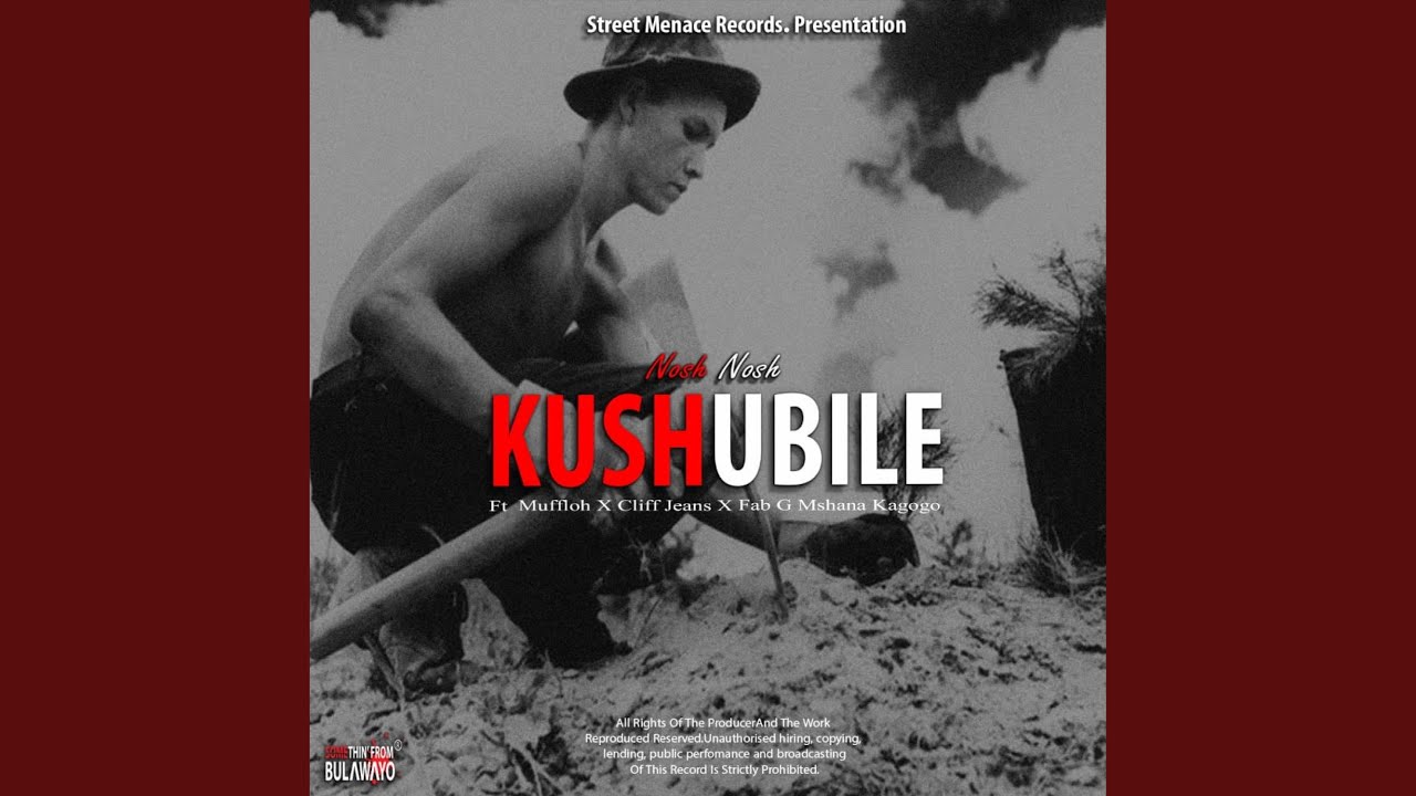 Kushubile (feat. Fab G, Muffloh & Nosh Nosh)