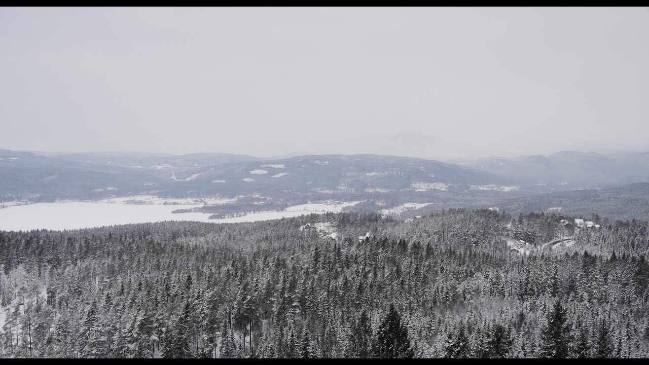 One Hour of Falling Snow | Norwegian Forest