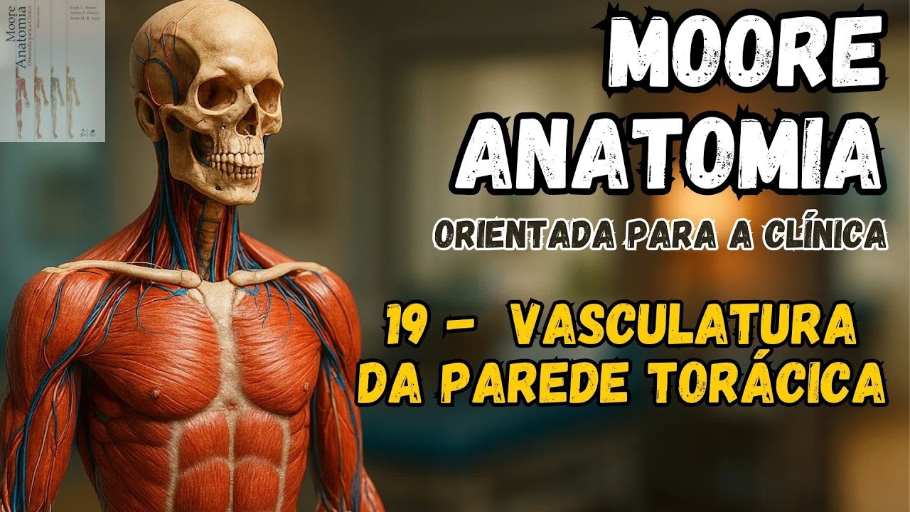 MOORE  - Anatomia Orientada para a Clínica  - 19   - Vasculatura da parede torácica