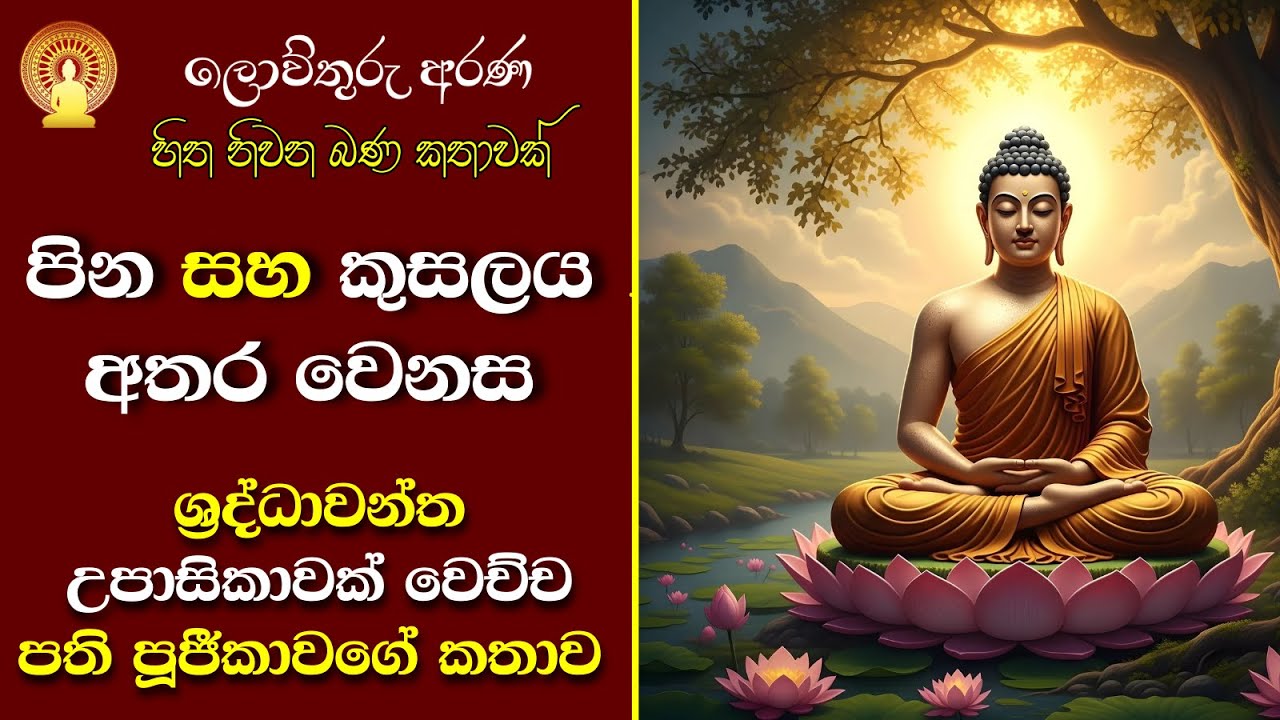 8 මාපලගම සුසිලවංශ හිමි | සාර විමුක්තිය පිණිස හේතු වන පින | නිවන පතා දන් දීම| පින සහ කුසලය අතර වෙනස