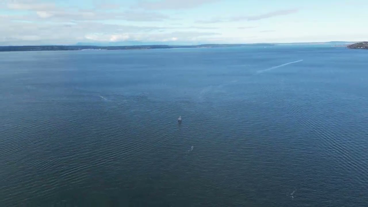 Washington, Alki Beach  5
