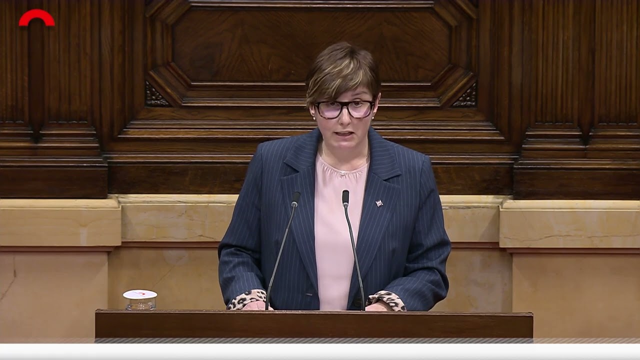 El PSC porta al Parlament la modificaci&oacute; del Codi Civil en benefici de les persones amb discapacitat